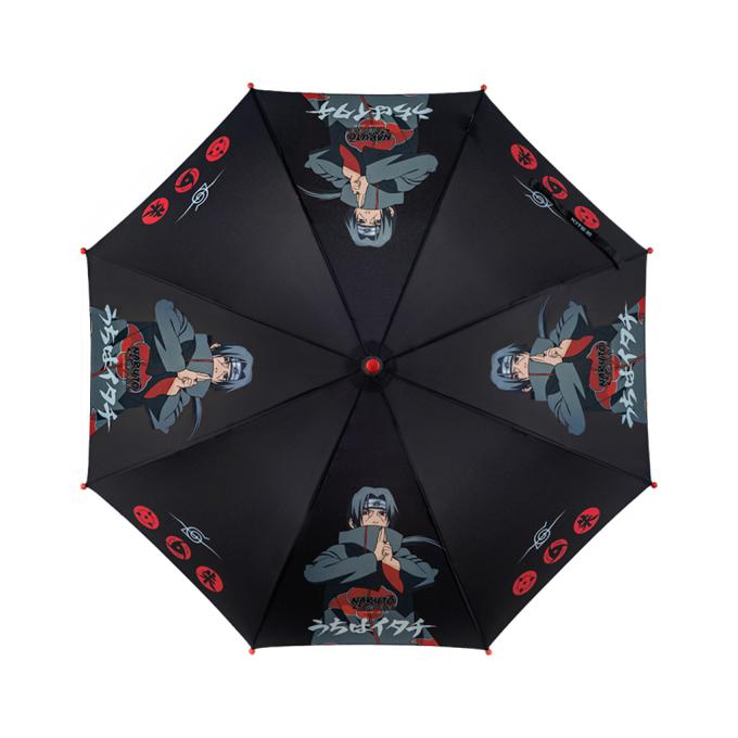 Kite NR24-2001