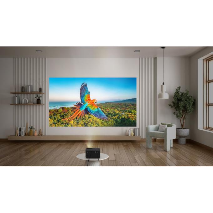 Optoma E3PB011E111