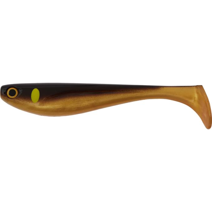 FishUP 1862.02.29