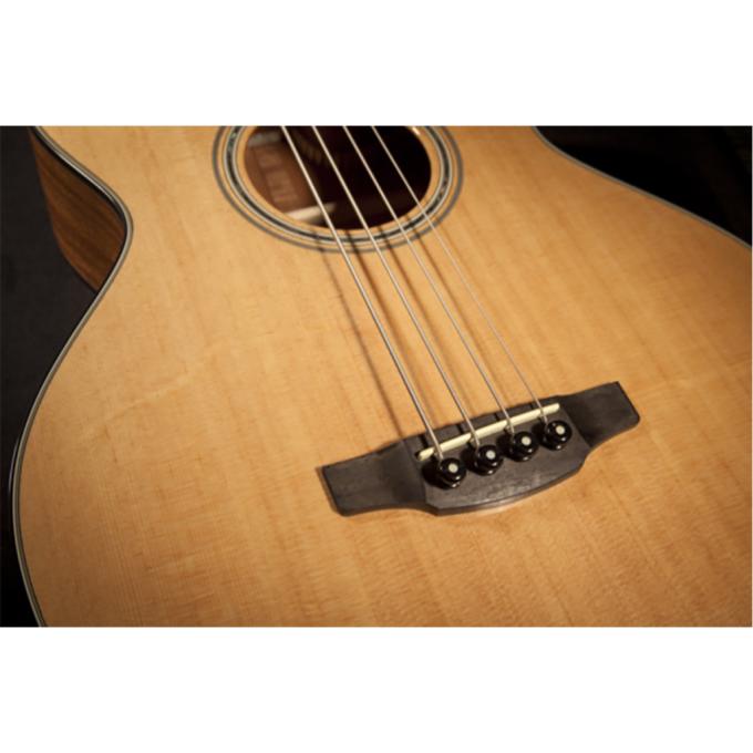 Takamine 234764