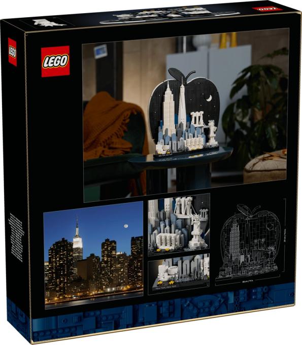 LEGO 21066