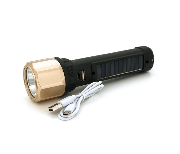 VOLTRONIC ZY-2021