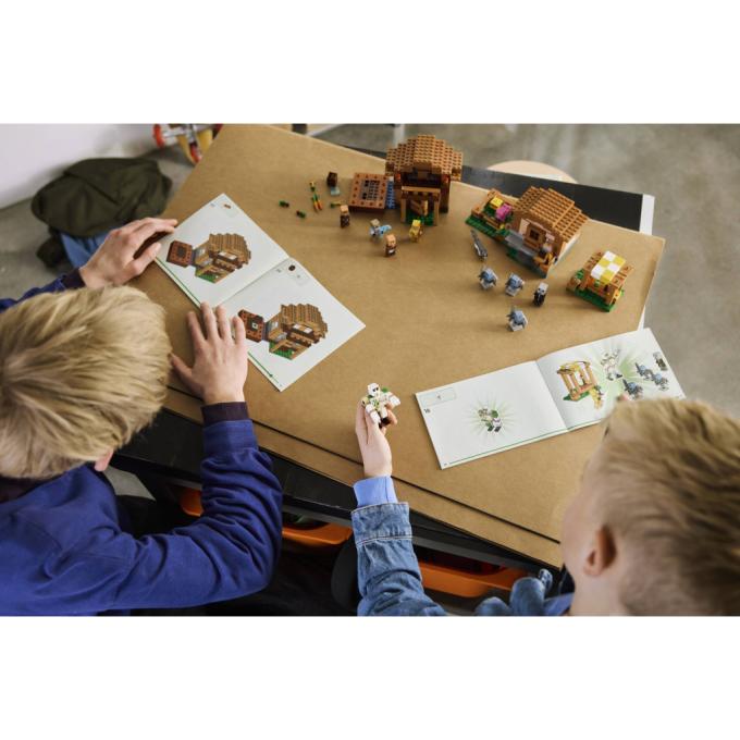 LEGO 21596
