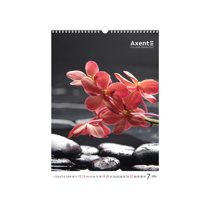 Axent 8804-25-2-A