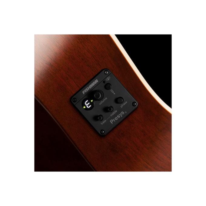 Art & Lutherie 235897