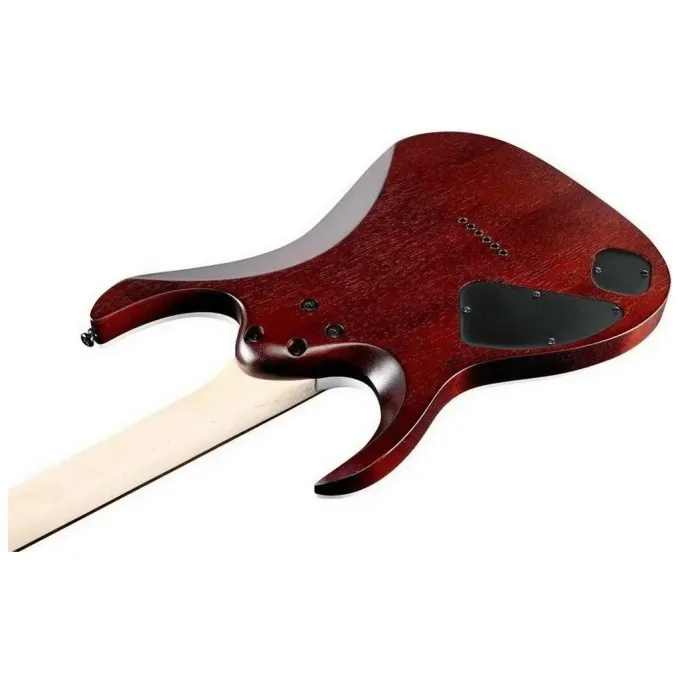 Ibanez 226622