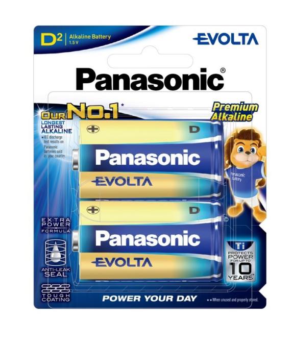PANASONIC LR20EG/2B