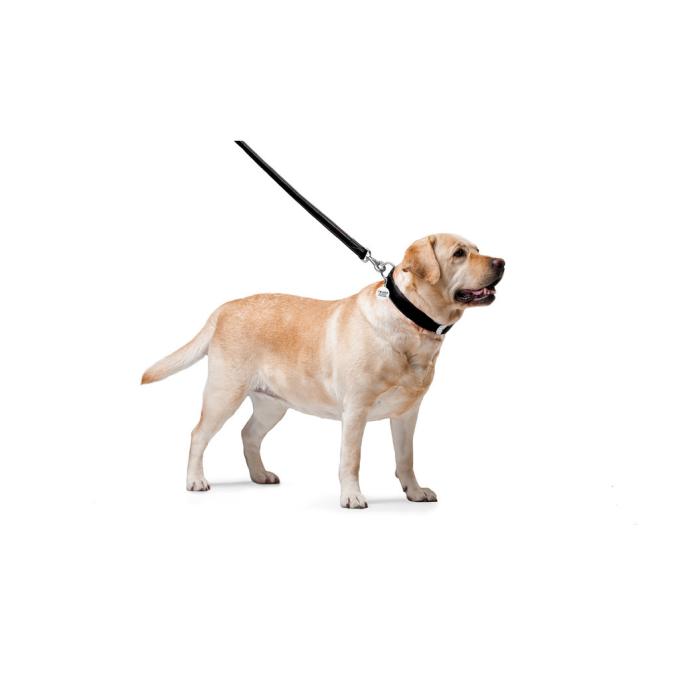 WAUDOG 33761