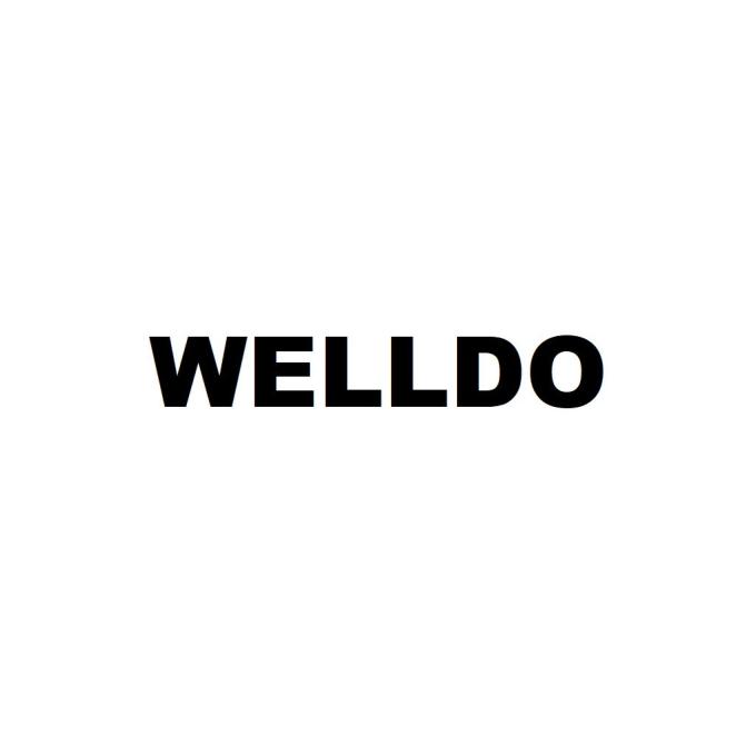 WELLDO WDTHM452C-100/WDTH452C-100