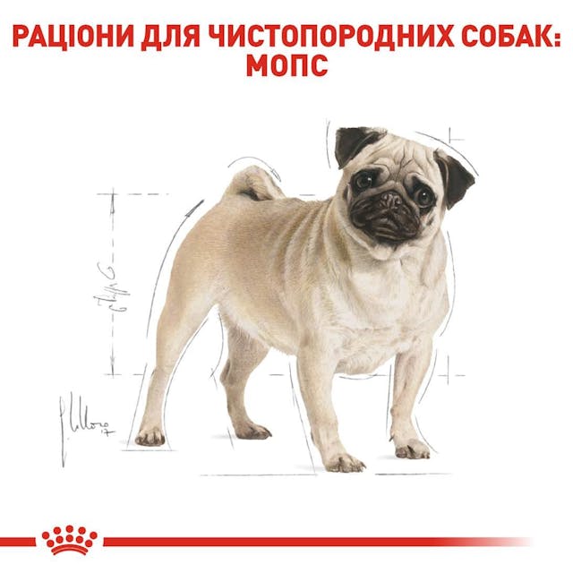 Royal Canin 3985015