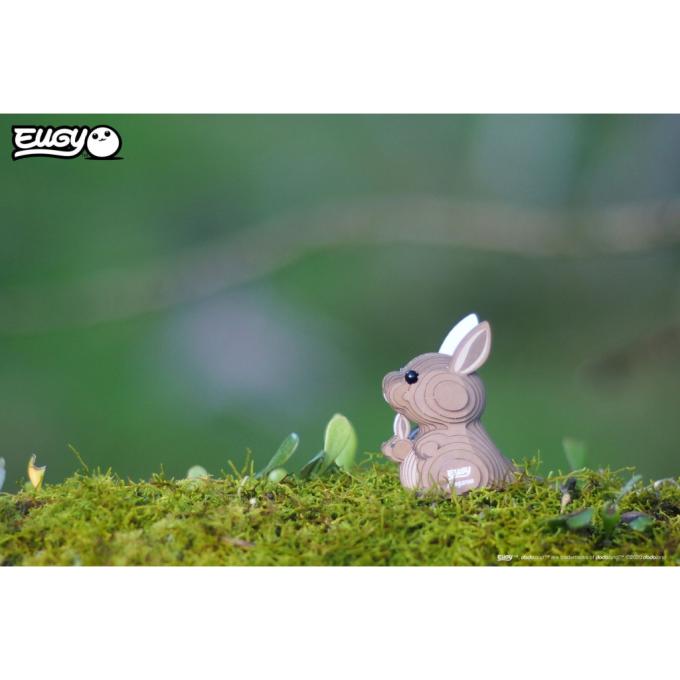 Eugy XEG-015