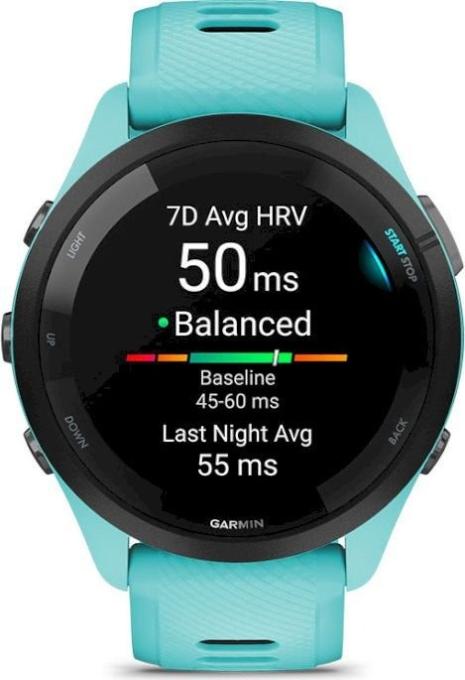 Garmin 010-02810-52