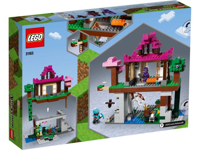 LEGO 21183