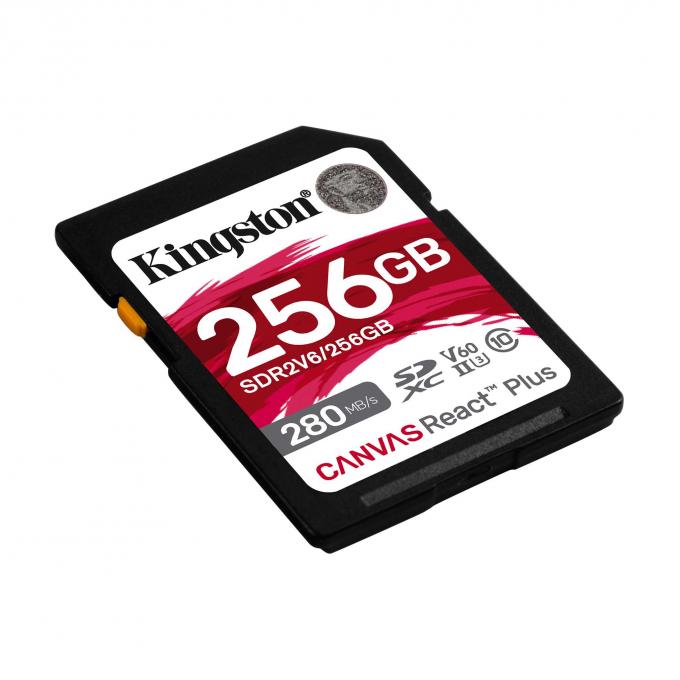 Kingston SDR2V6/256GB