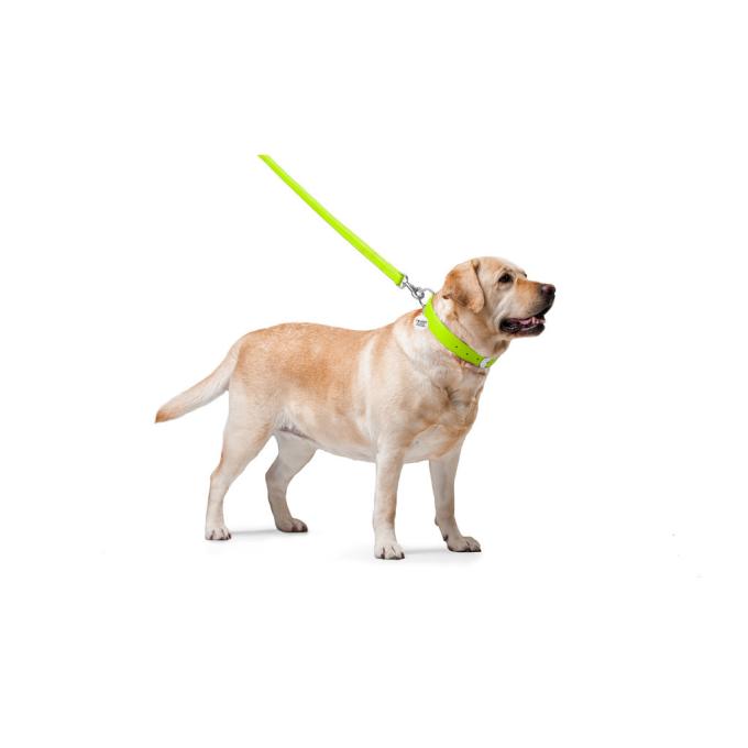 WAUDOG 33765