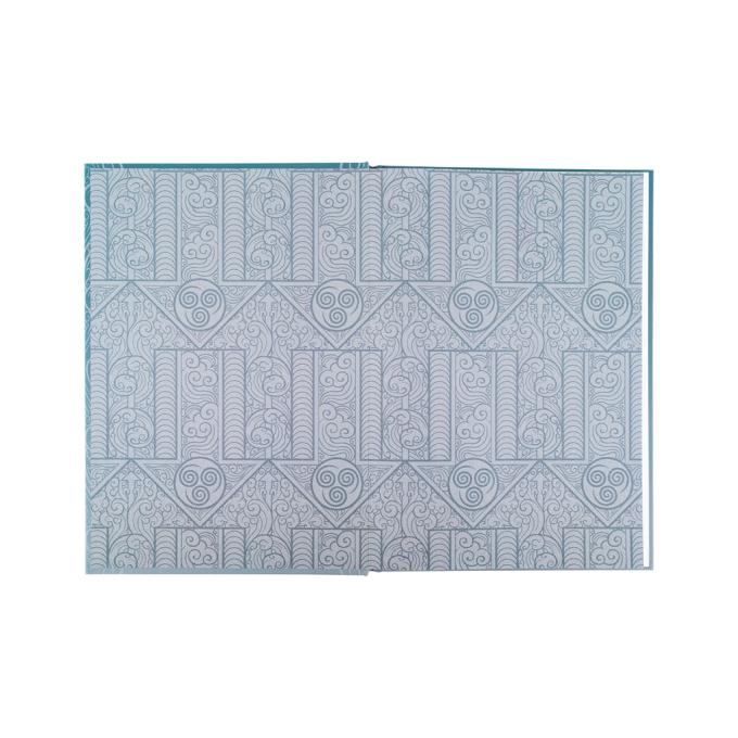 Kite AV25-262