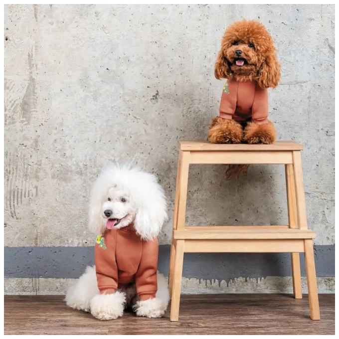 Pet Fashion 4823082434725