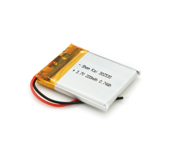 VOLTRONIC 302530