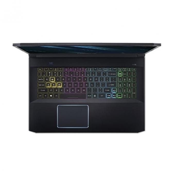 Ноутбук Acer Predator Helios 300 PH317-53 NH.Q5REU.017