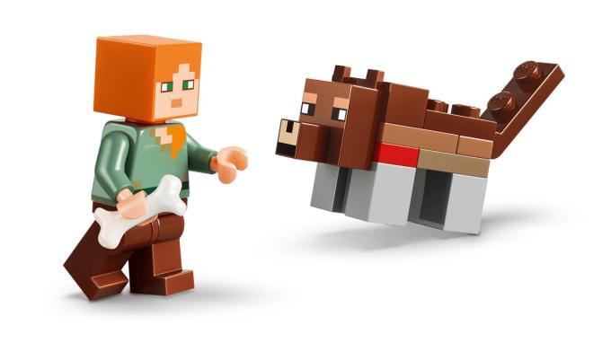 LEGO 21593