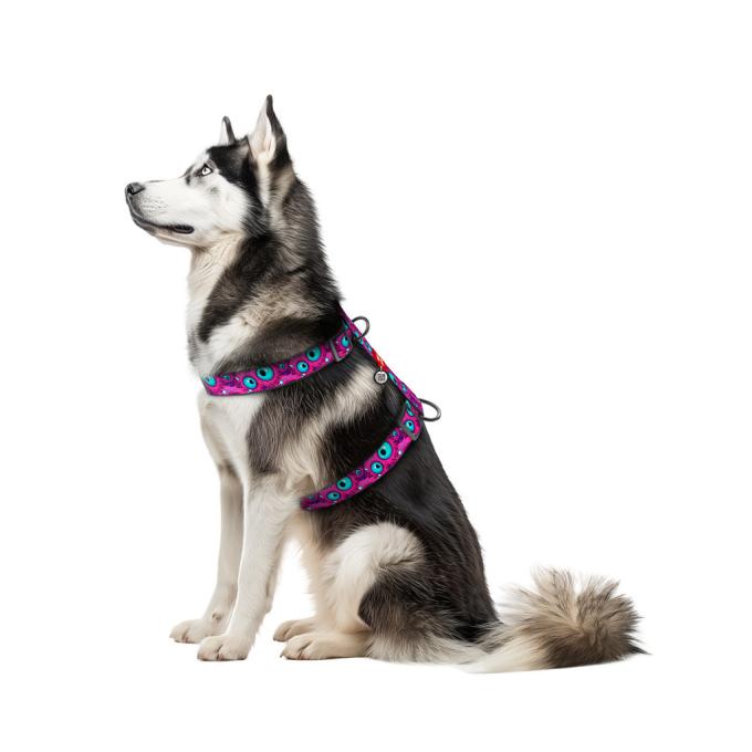 WAUDOG 323-4049