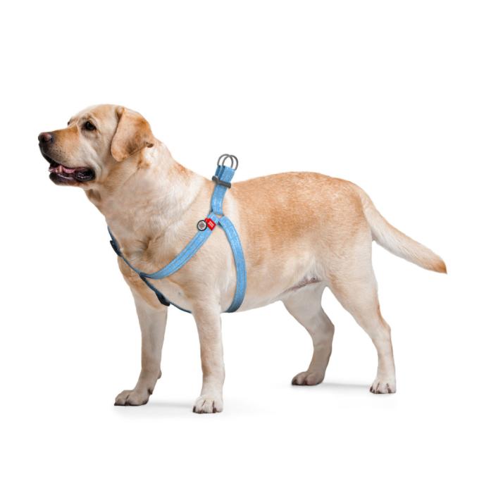 WAUDOG 03242