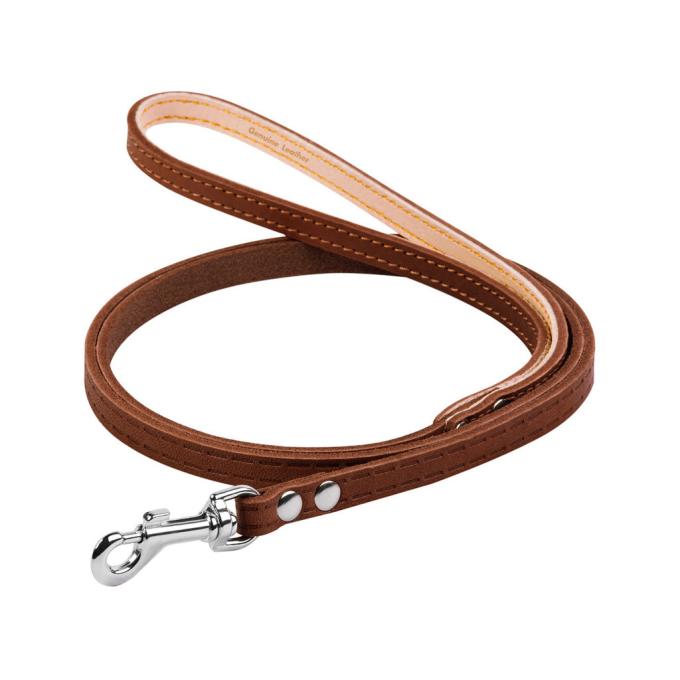 Collar 04436