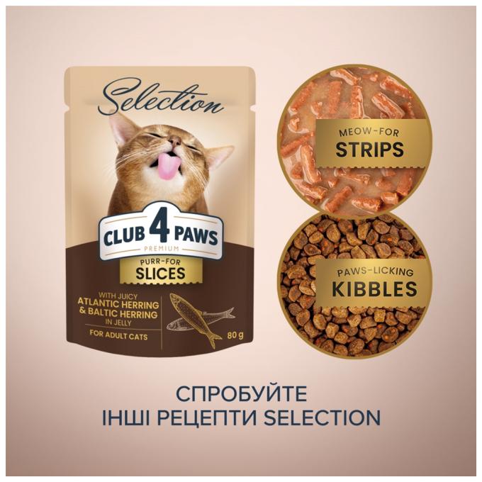 Club 4 Paws 4820215368025