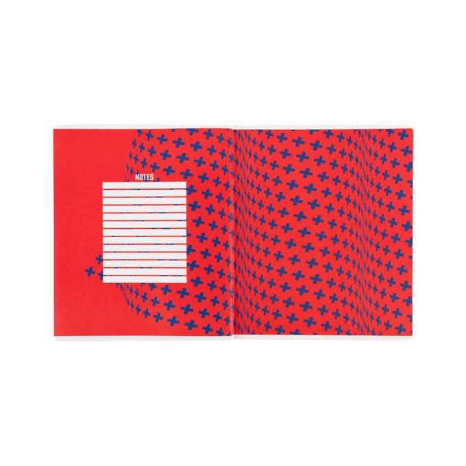 Kite BC25-238