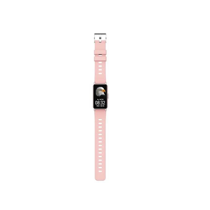 Maxcom Fit FW53 Nitro Gold