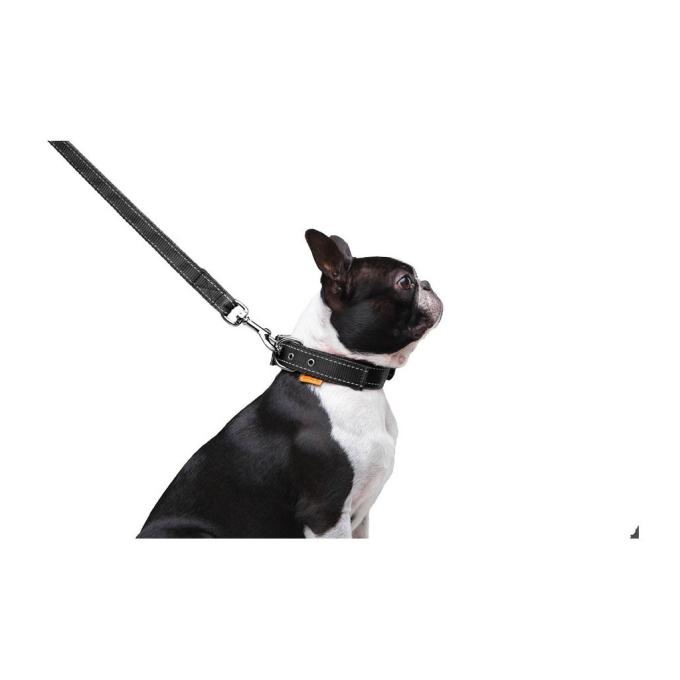 Dog Extreme 42981