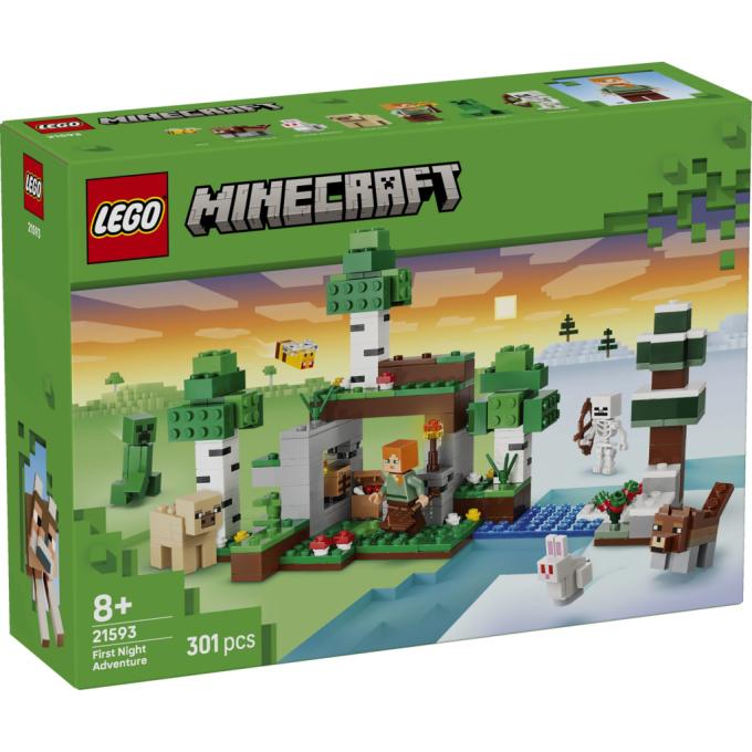LEGO 21593