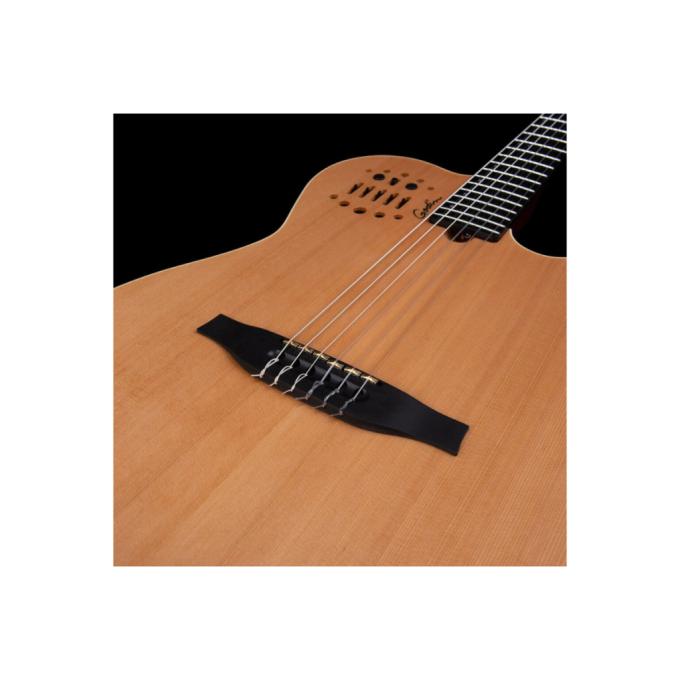 Godin 235922