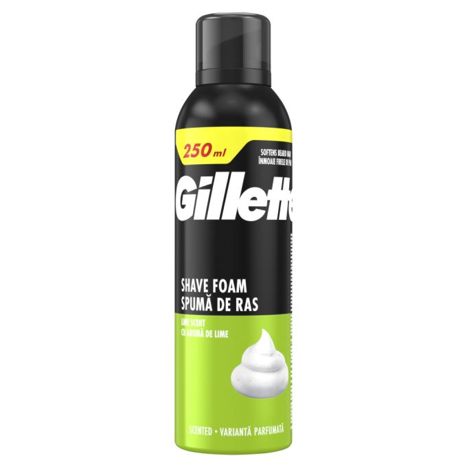 Gillette 8006530159111