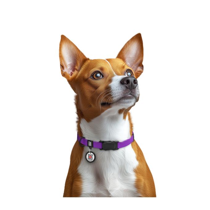 WAUDOG 27949