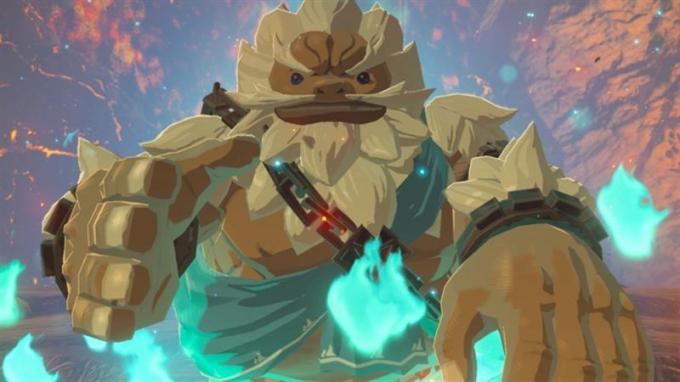 Nintendo 045496420055