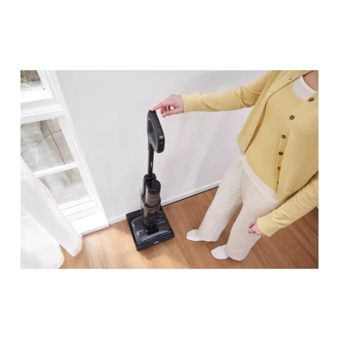 Tineco FW420400DE