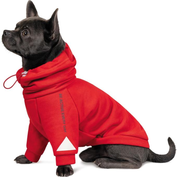 Pet Fashion 4823082423378