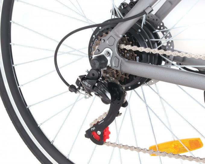 Maxxter ROAD MASTER (gray)