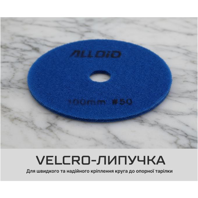 Alloid DD-63283