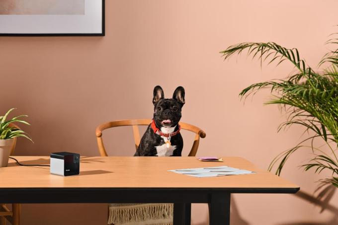 PETCUBE PP20US