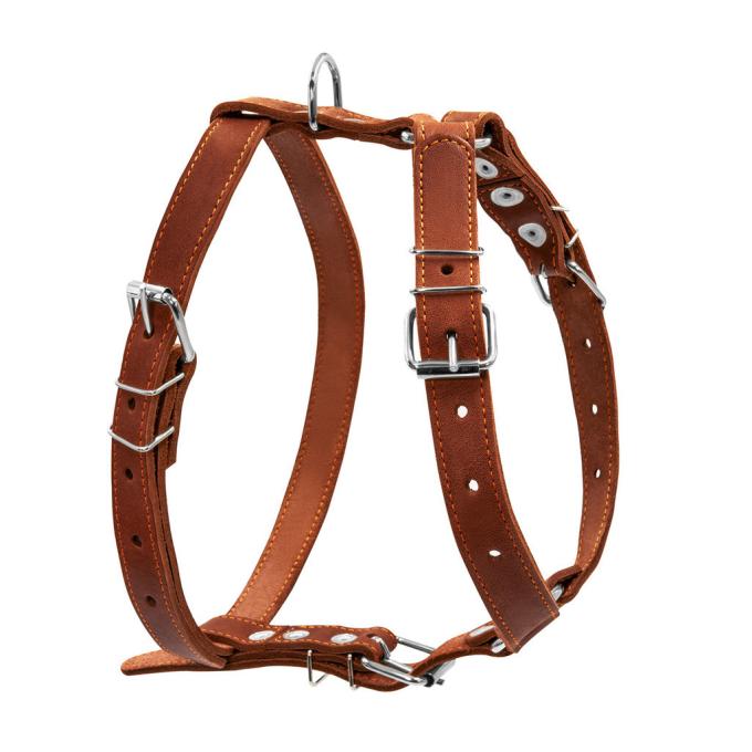 Collar 06386