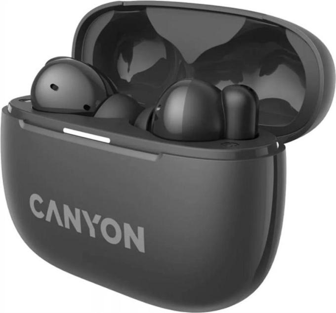 Canyon CNS-TWS10BK
