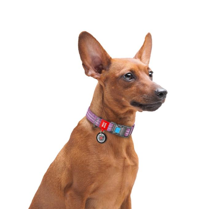 WAUDOG 02889