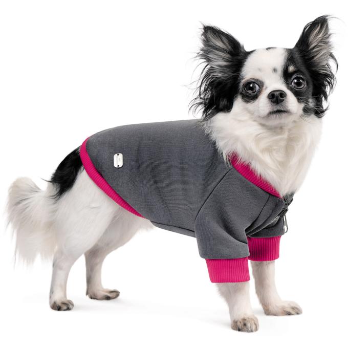 Pet Fashion 4823082430291
