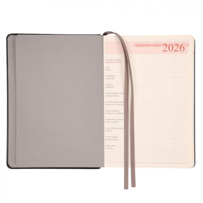 Leo planner 252685