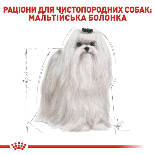 Royal Canin 3995005
