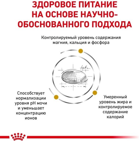 Royal Canin 3954004