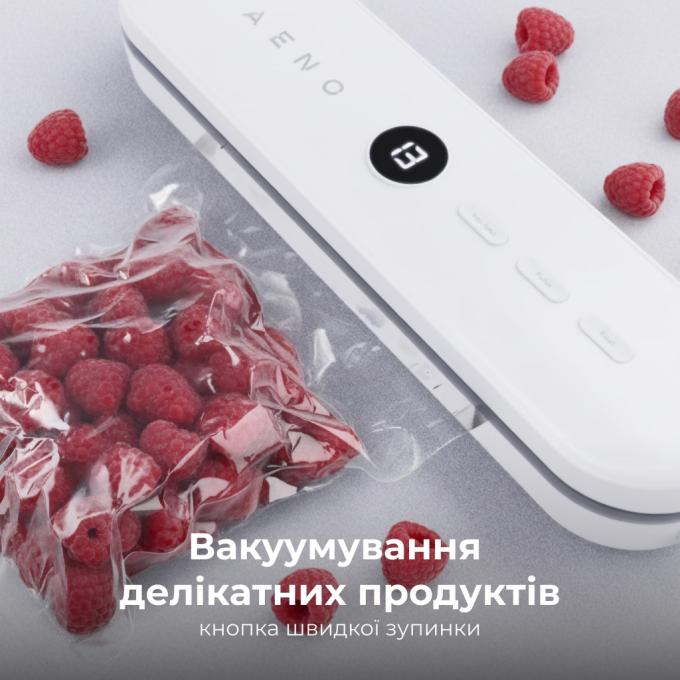 AENO AVS0003