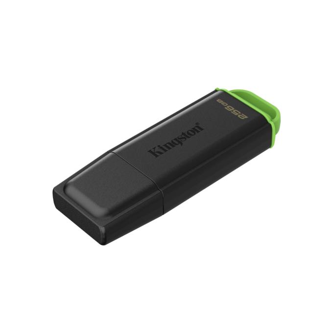 Kingston DTXG2/256GB
